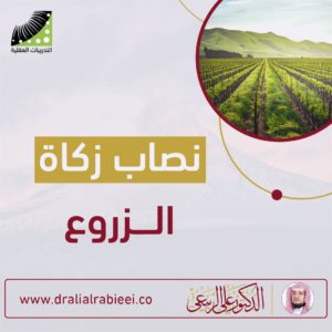 Read more about the article  الدكتور علي الربيعي نصاب زكاة الزروع