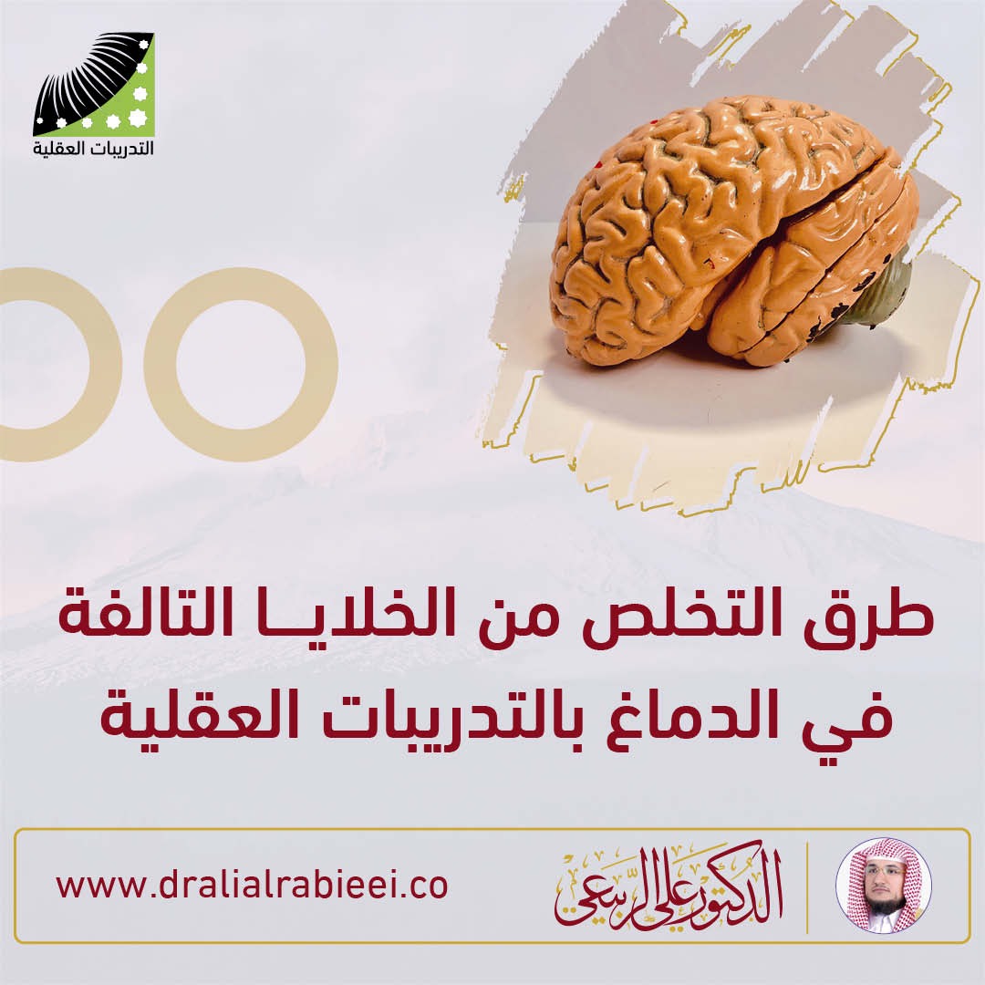 You are currently viewing الشيخ علي الربيعي طرق التخلص من الخلايا التالفه ف الدماغ بالتدريبات العقلية